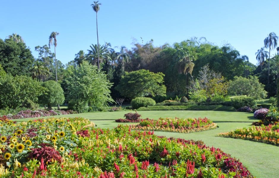 brisbane botanic gardens