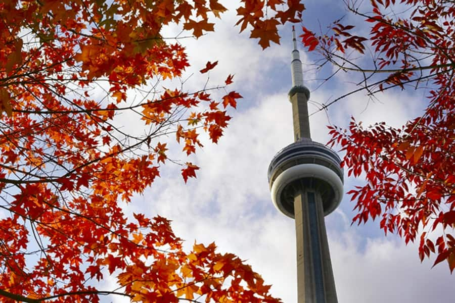 cn tower