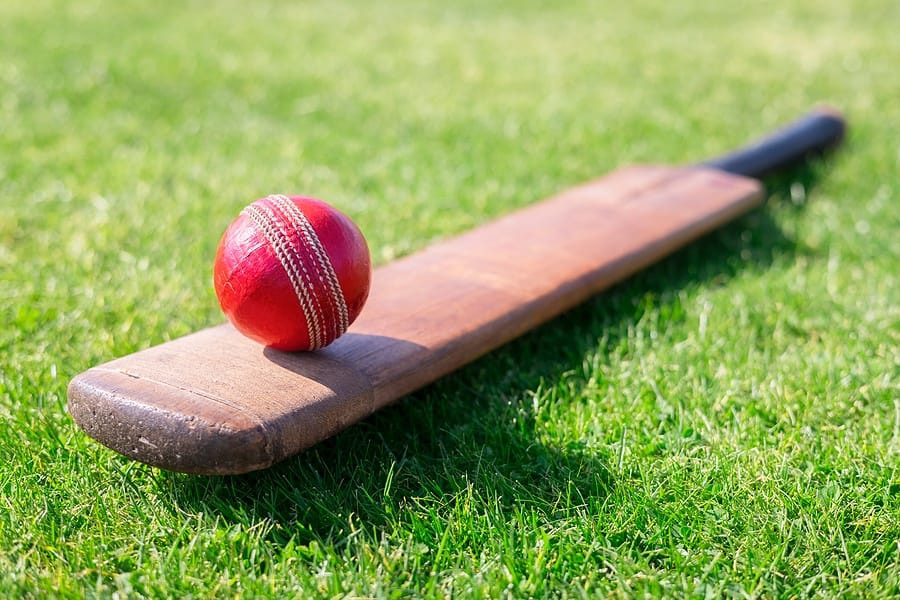 cricket ball and bat