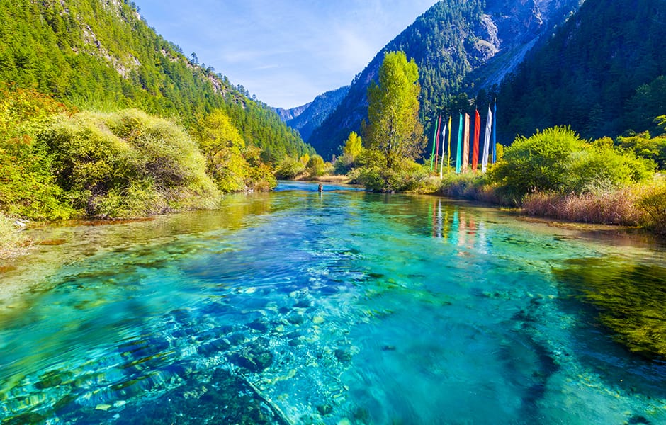 fall of forest jiuzhaigou china