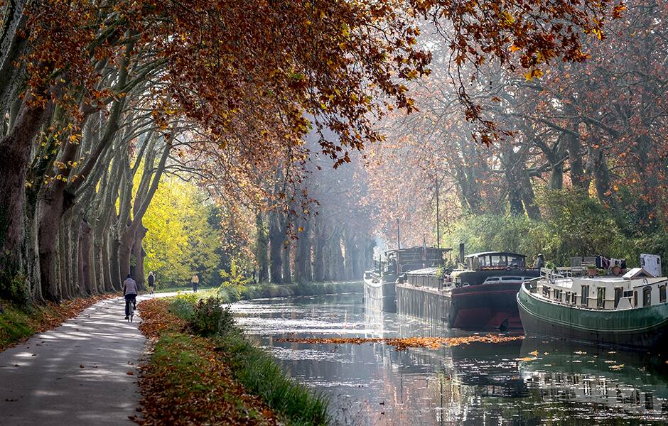 canal du midi near toulouse in autumn with leaves