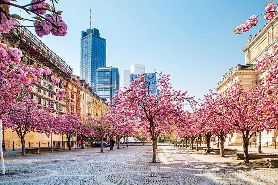 shopping plaza in Frankfurt