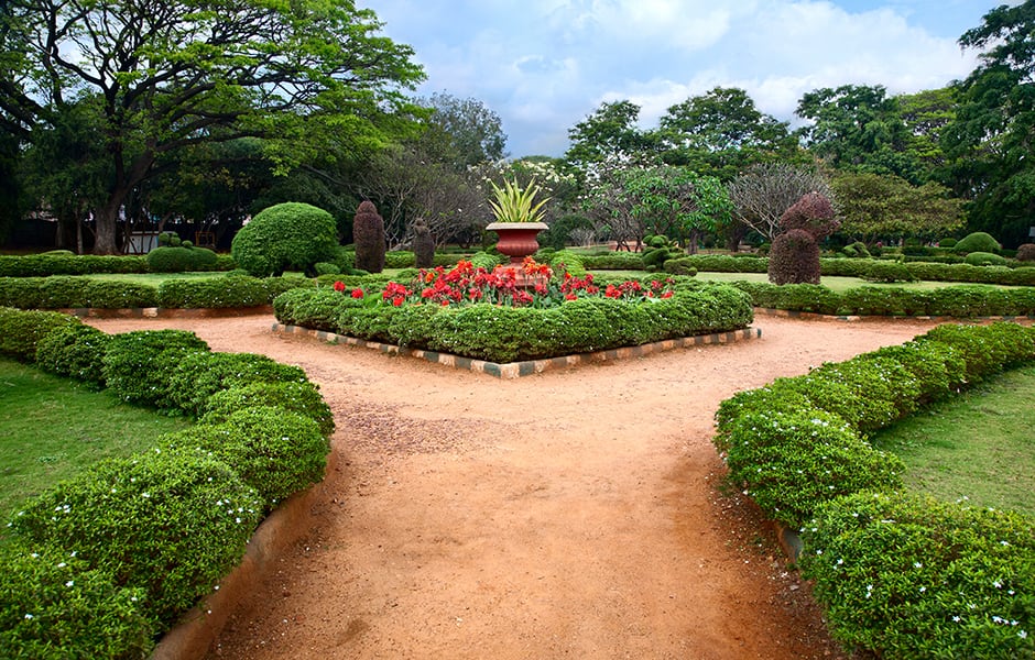 flowers and pathways of lalbagh botanical gardens in bengaluru bangalore india