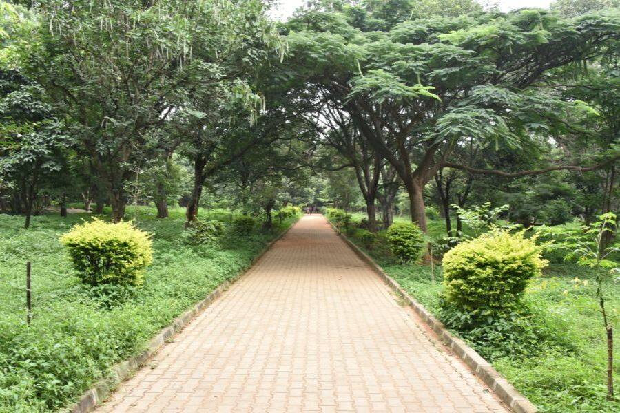 Cubbon Park