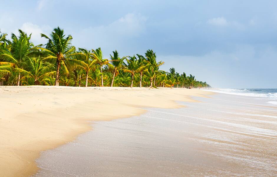 beautiful sandy beach and palm trees at kochi