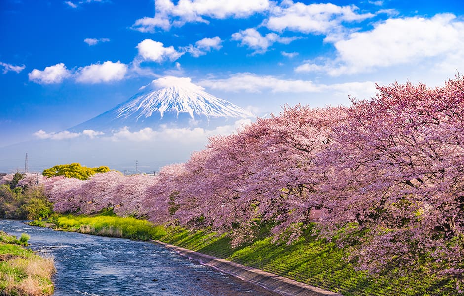 spring scene in historic higashiyama in kyoto japan