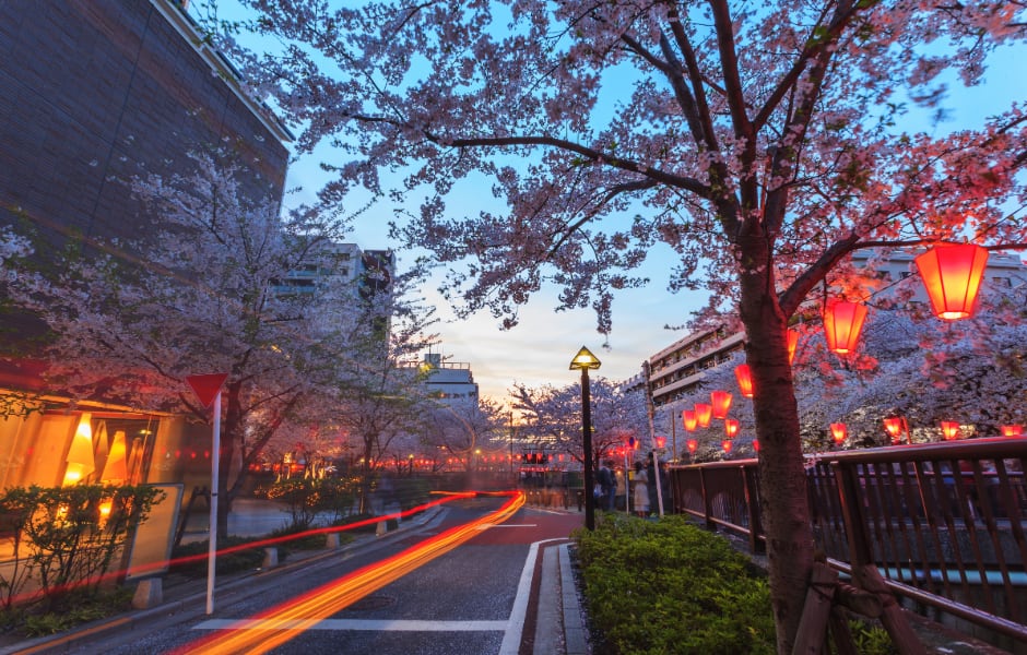 nagameguro in tokyo at night