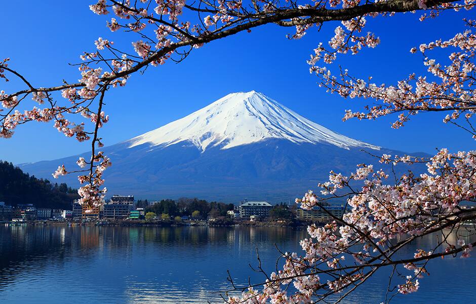 mount fuji through cherry blossom in tokyo japan 