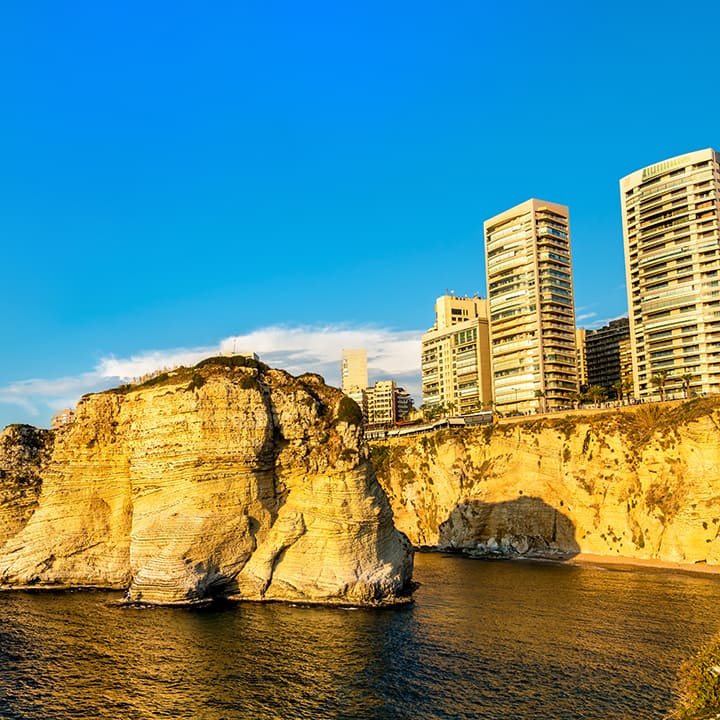 pigeons rock beirut in lebanon