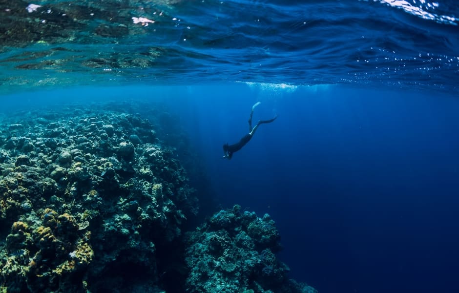 beautiful and clear ocean with diver and underwater view of rocks and corals 