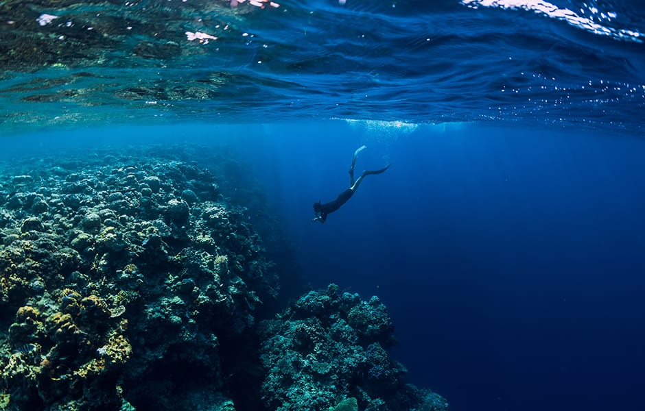 beautiful and clear ocean with diver and underwater view of rocks and corals 