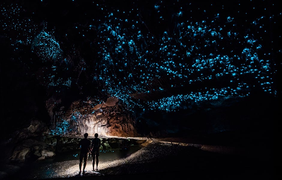 glow worm caves in new zealand