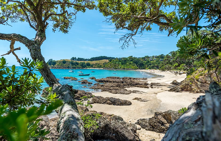 beautiful view from the waiheke island in new zealand 