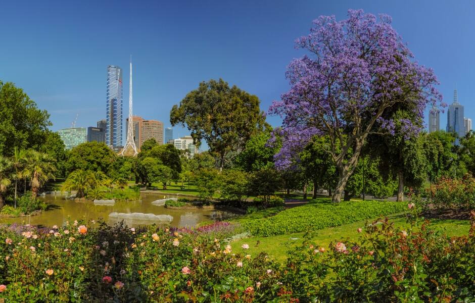 royal botanic garden victoria melbourne