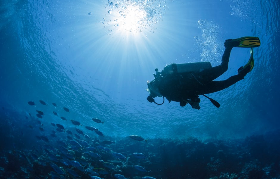 diver swims in the sea riyadh