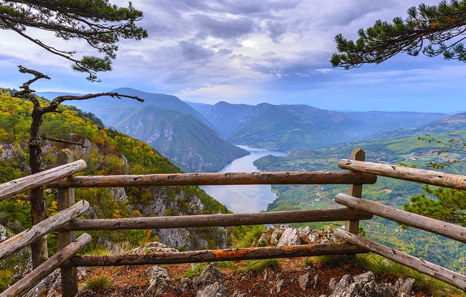 view of tara national park serbia from the banjska stena viewpoint