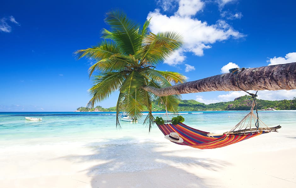 beach view in seychelles of a hammock and palm trees