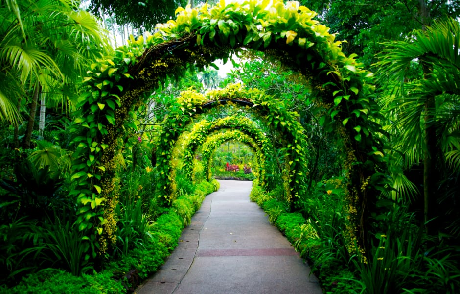 singapore botanical gardens 