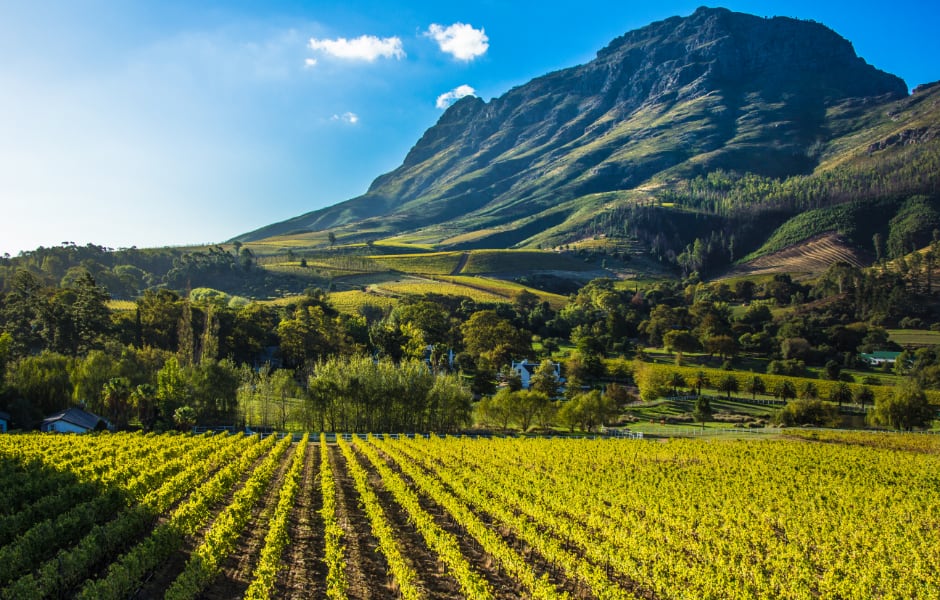 a vineyard sitting at the base of a mountain in south africa