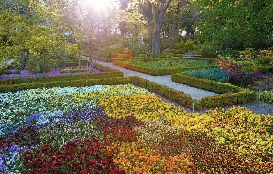 Madrid real jardin botanico covered in colourful spring flowers