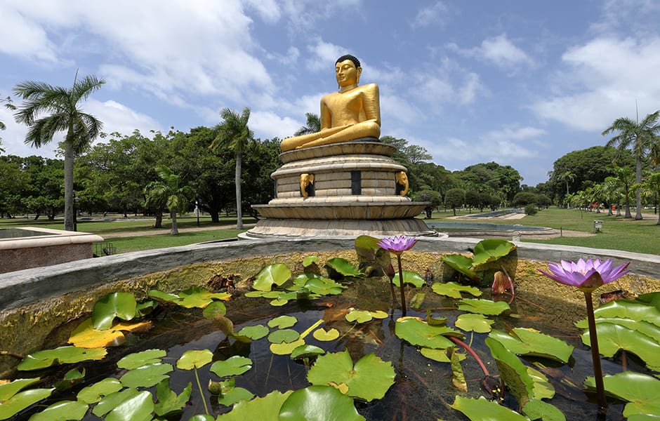 water feature and palm trees colombo