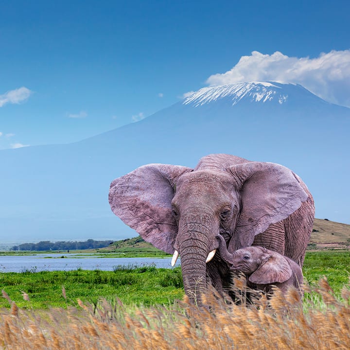 incredible views of africa’s highest peak 