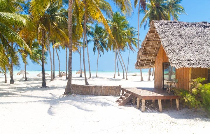 white sand beach with palmtrees zanzibar