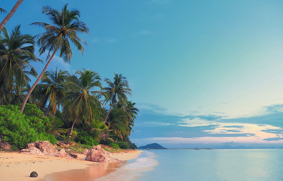 beach and palm trees koh samui