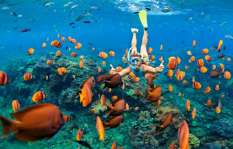 image of girl snorkelling under the water surrounded by colourful fish in phuket thailand