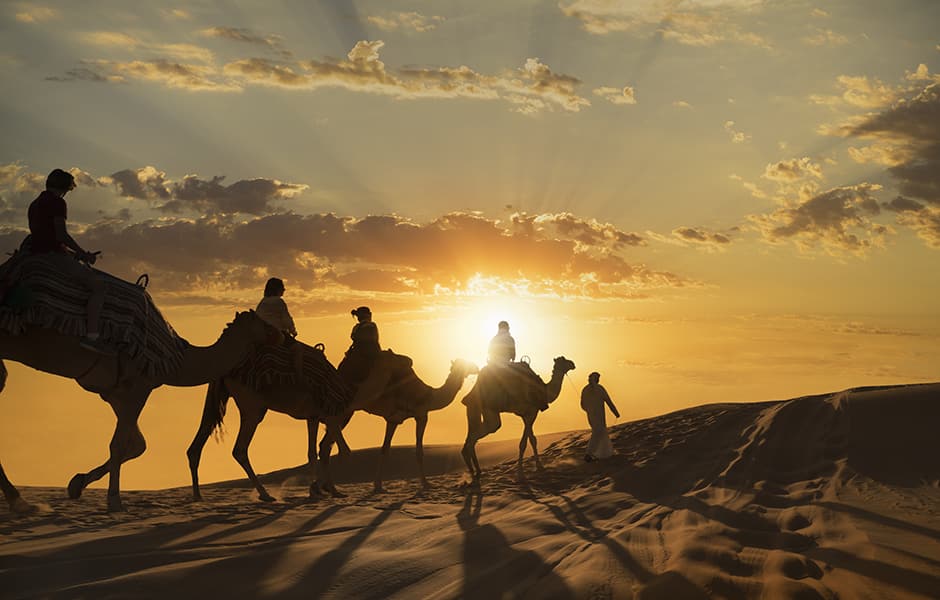 riding camels in desert at sunset