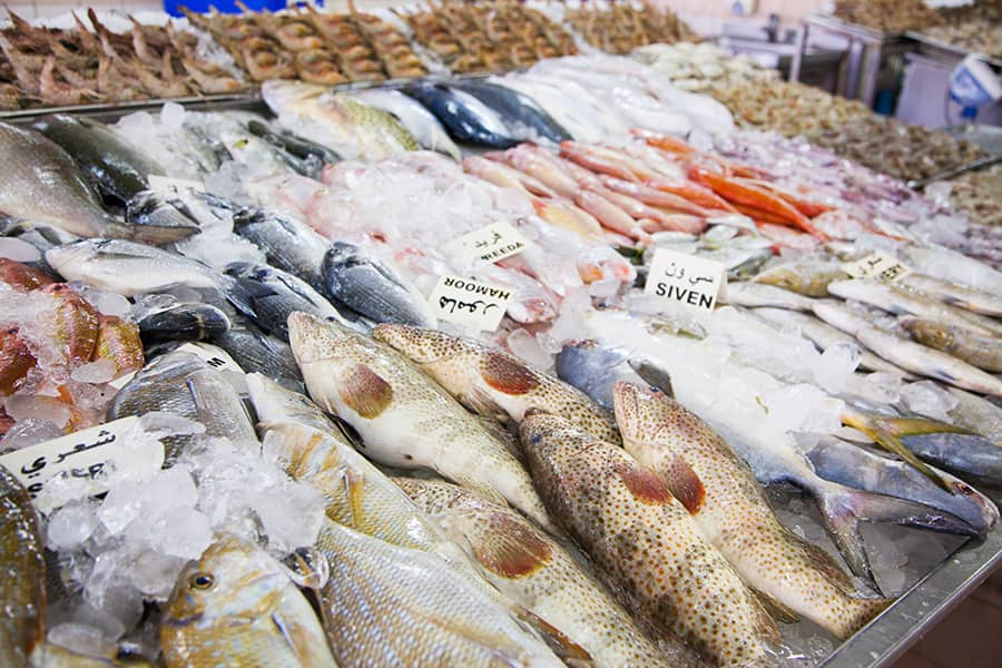 fish market in abu dhabi