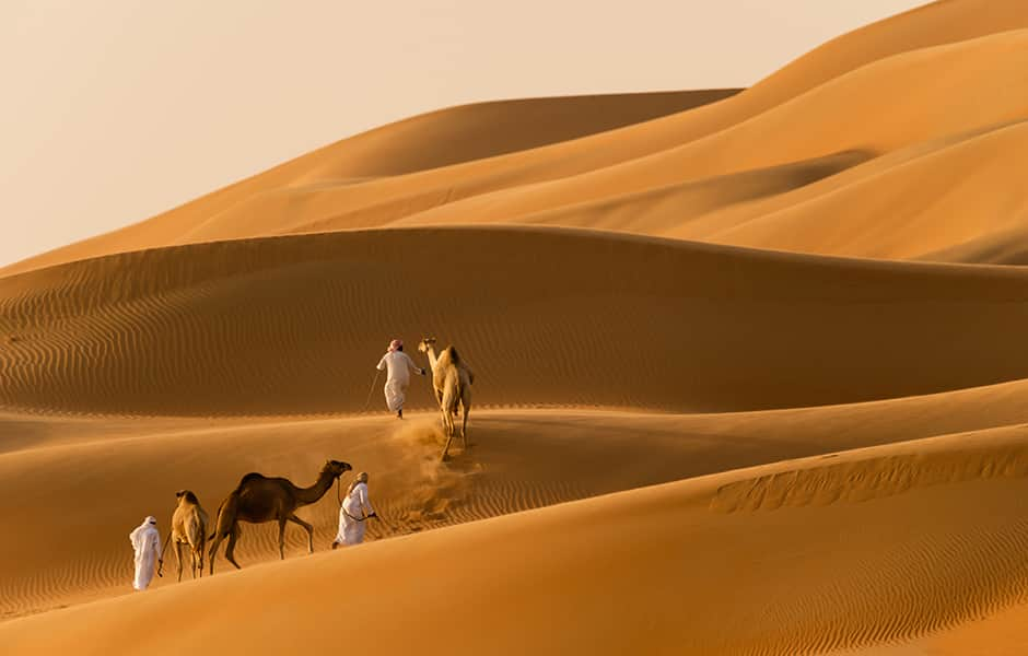 views of sand dunes in the liwa desert in abu dhabi