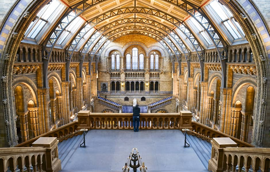 the natural history museum in london uk 