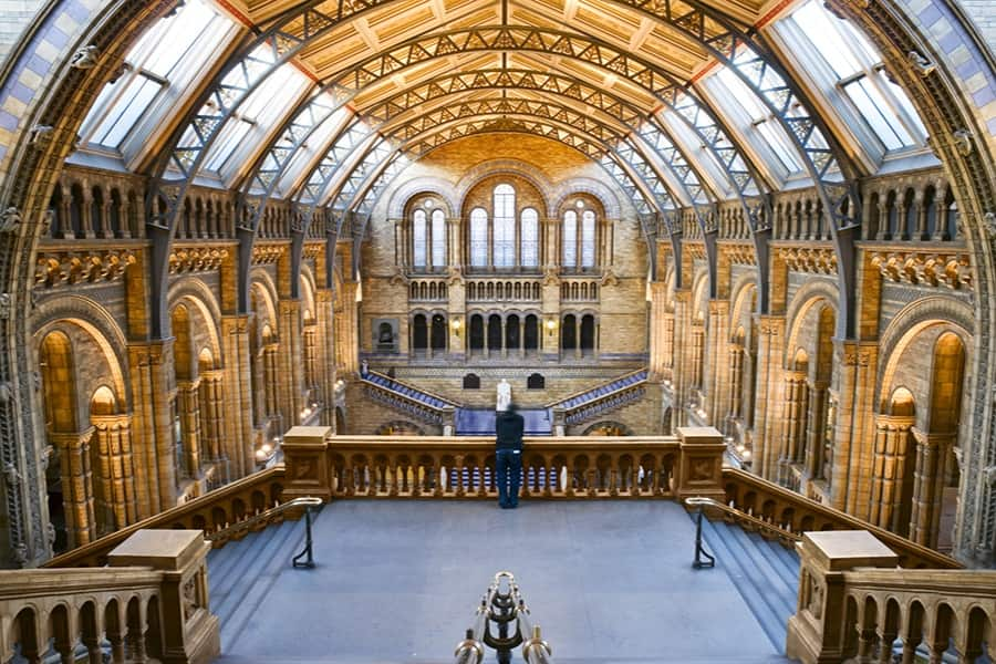 london natural history museum