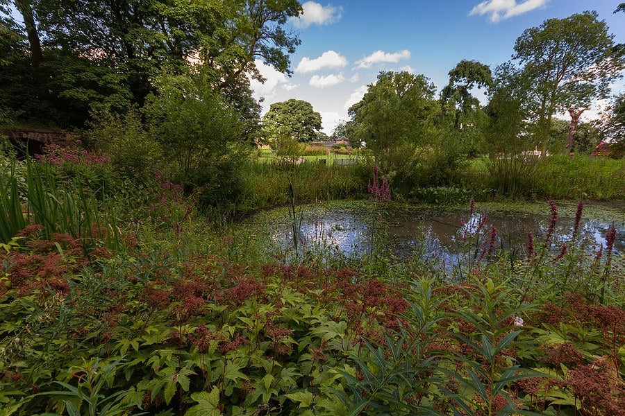 heaton park