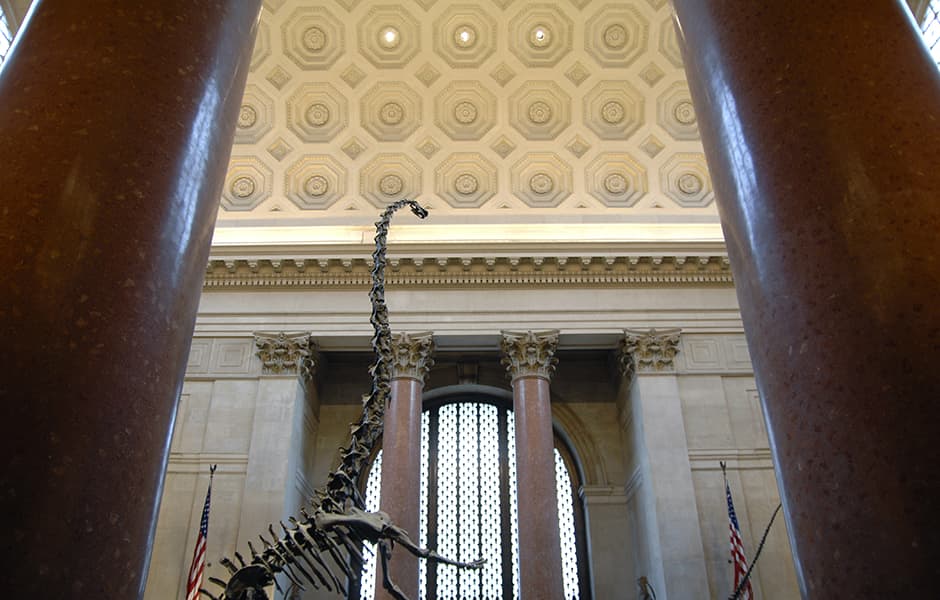 entrance to the american natural history museum