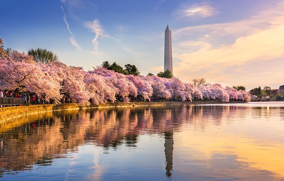 washington dc in spring across the lake