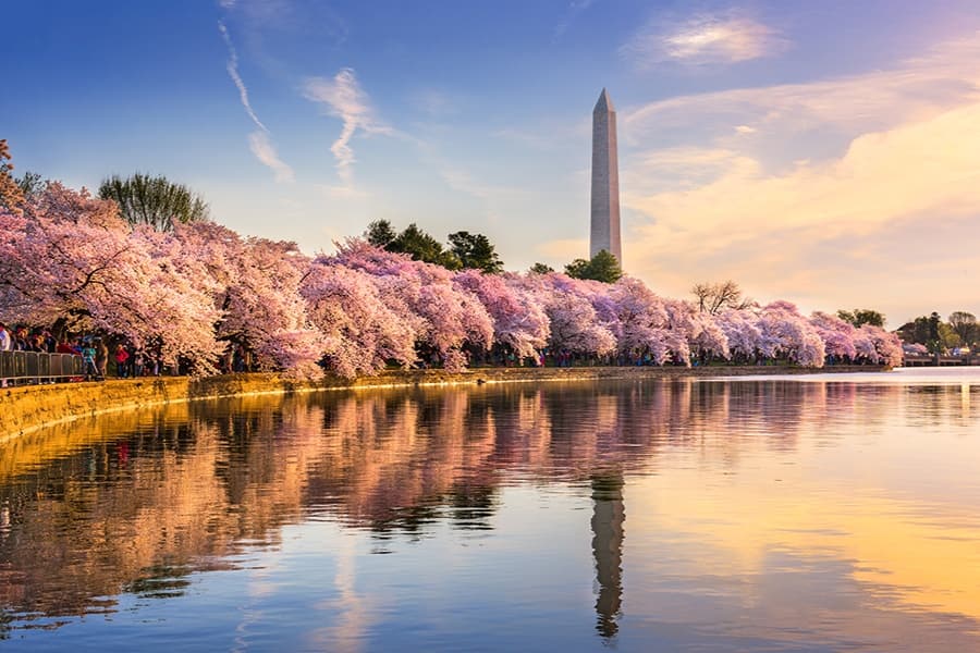 washington dc by the lake