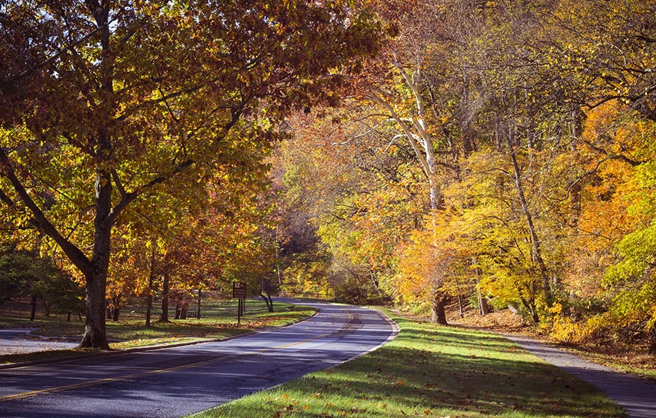 rock creek park in autumn washington dc usa